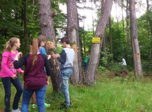 Die einzigartige Lage der Johannes-Kepler-Schule bietet sich für Waldprojekte geradezu an.