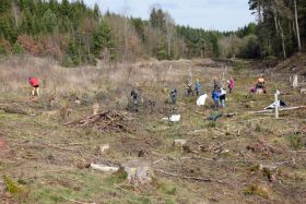 Waldtag der Förderstufen-Klassen 5