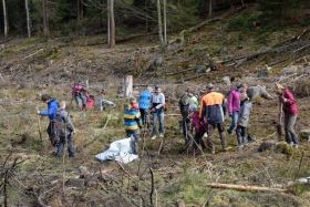 Waldtag der Förderstufen-Klassen 5